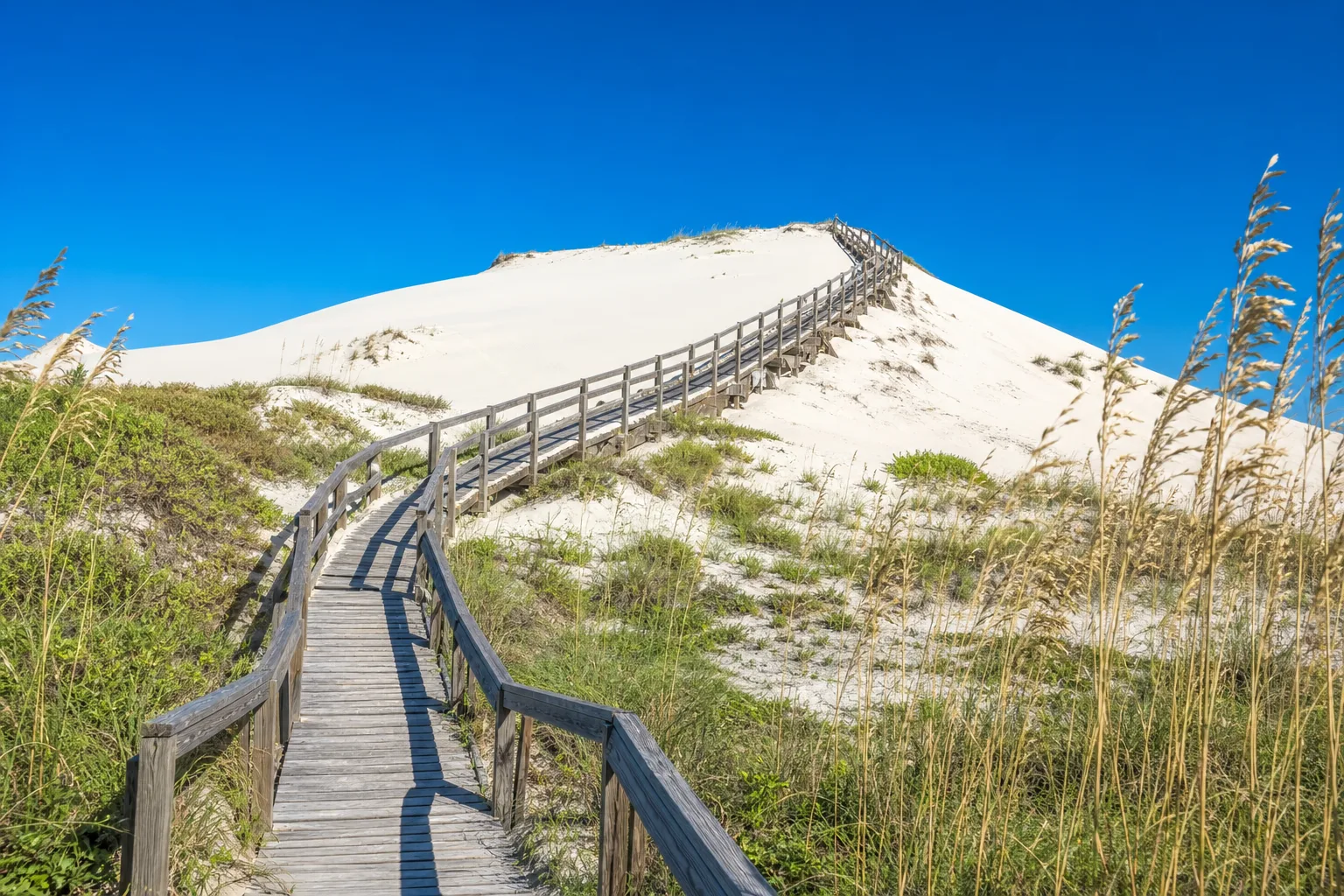 Sandy Run Park in Kitty Hawk with sand dunes and sea oats in the morning light