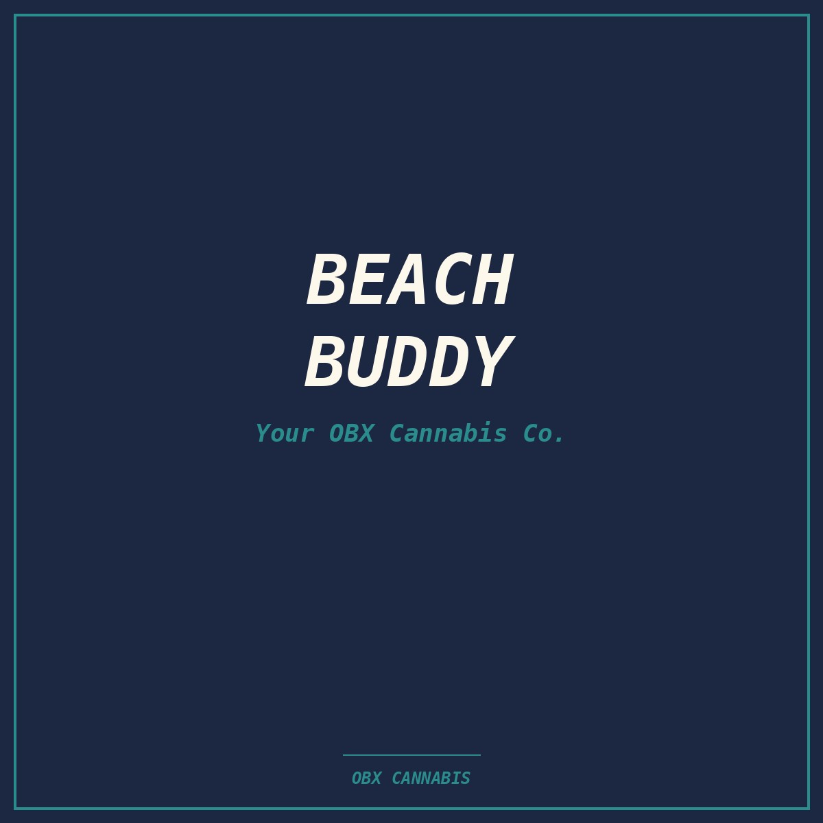 Beach Buddy Towel