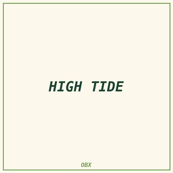 High Tide Koozie