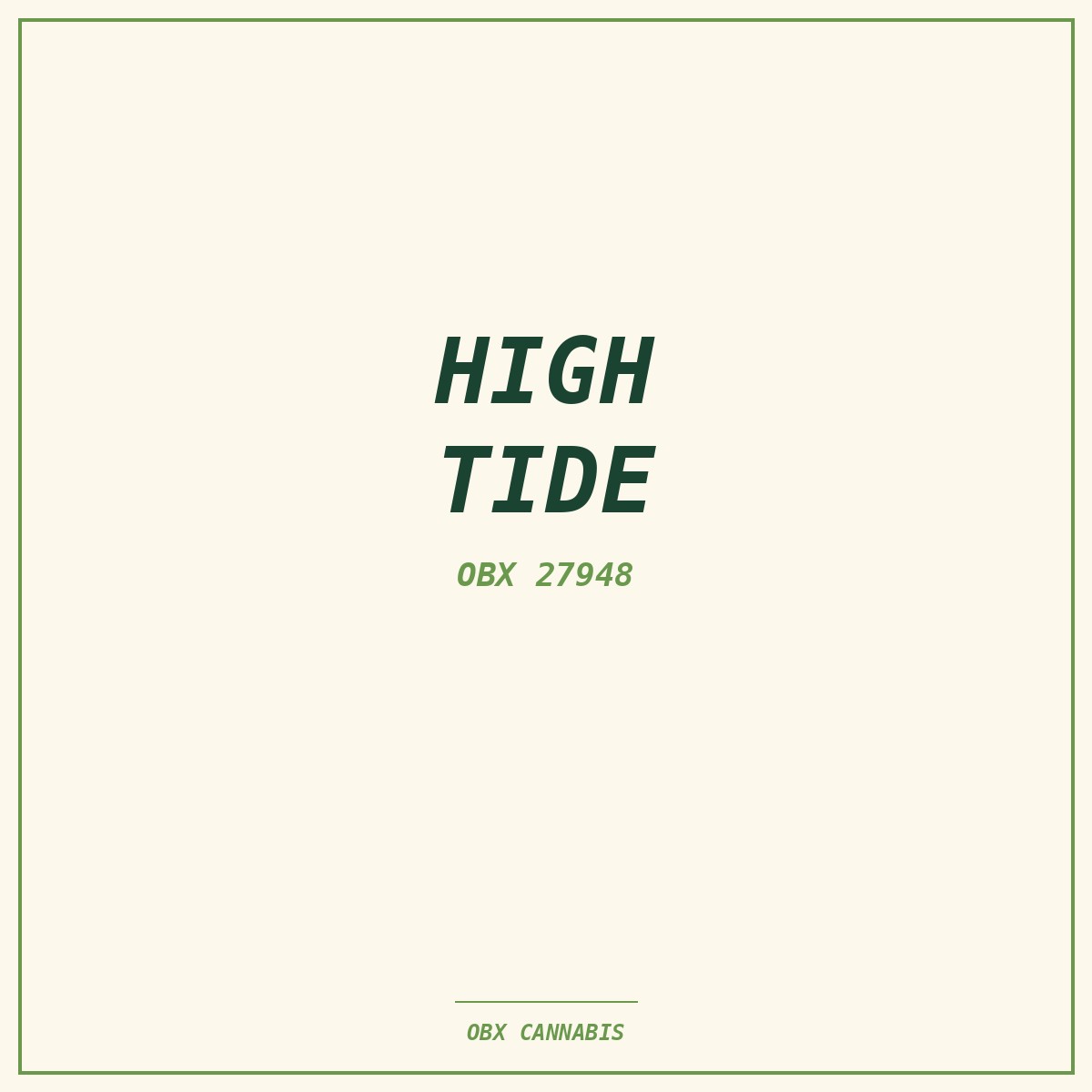 High Tide Beach Towel