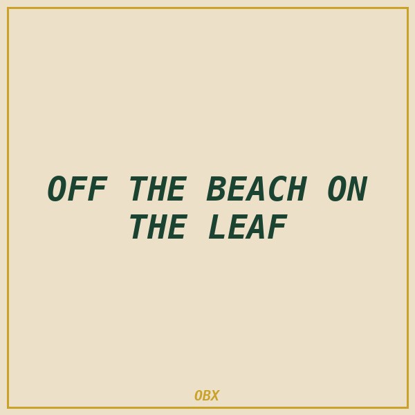 Off the Beach / On the Leaf Koozie