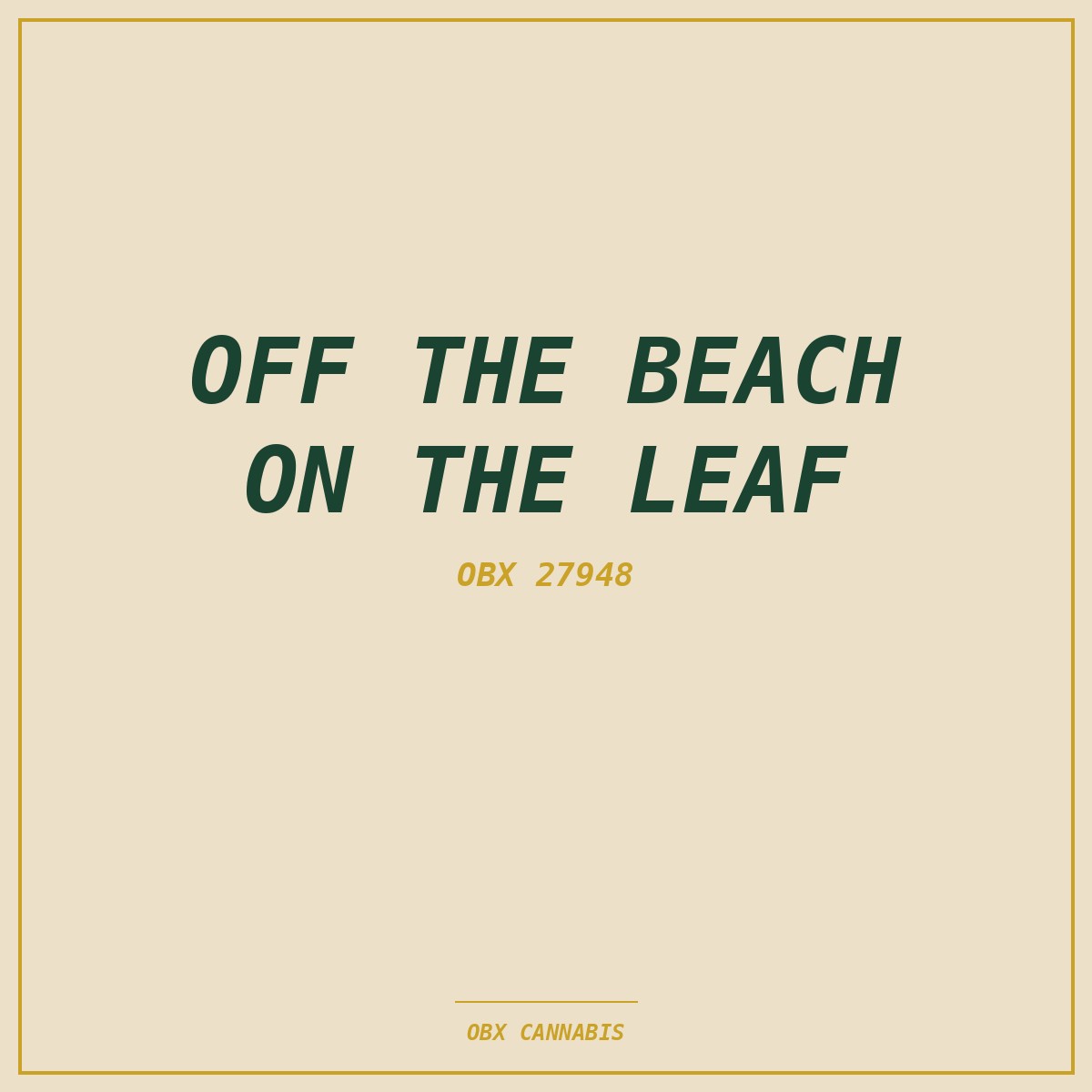Off the Beach / On the Leaf Towel